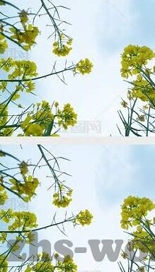 6月19足球比分-6月19日足球盛宴，比分背后的激情与战术博弈