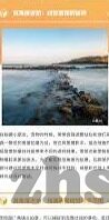 抢庄牛牛游戏真人-抢庄牛牛游戏，真人对战中的策略与乐趣